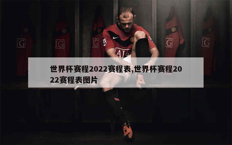 世界杯赛程2022赛程表,世界杯赛程2022赛程表图片