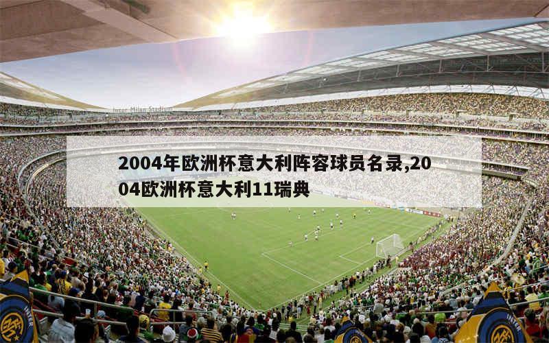 2004年欧洲杯意大利阵容球员名录,2004欧洲杯意大利11瑞典