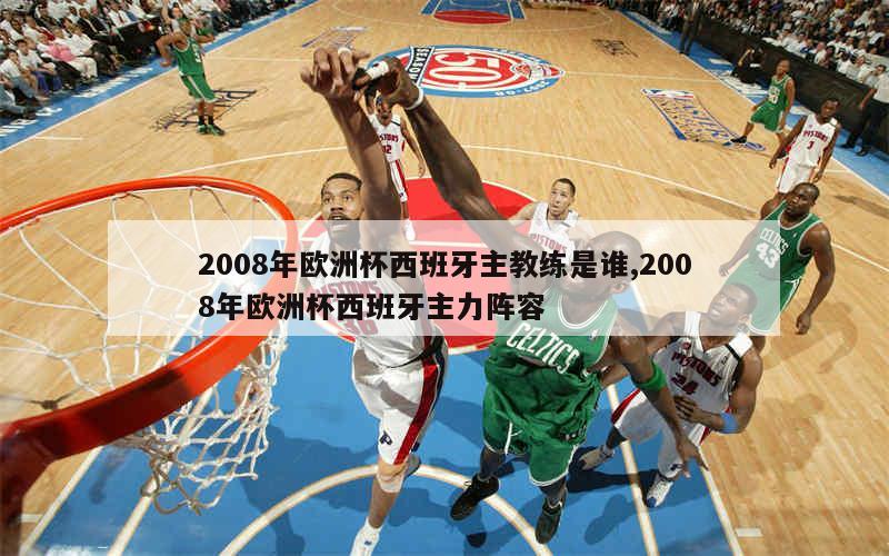 2008年欧洲杯西班牙主教练是谁,2008年欧洲杯西班牙主力阵容