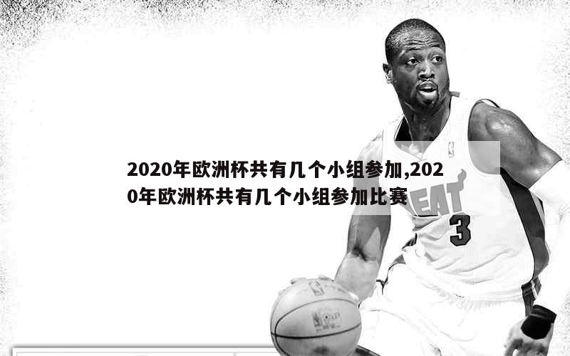 2020年欧洲杯共有几个小组参加,2020年欧洲杯共有几个小组参加比赛