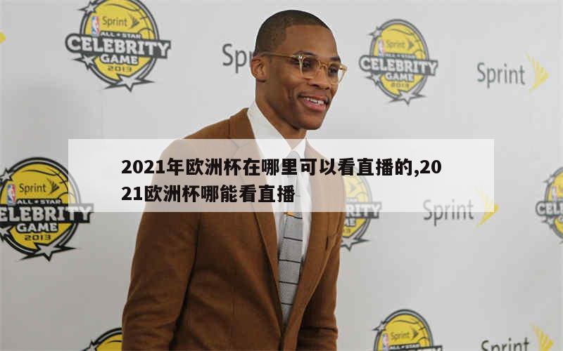 2021年欧洲杯在哪里可以看直播的,2021欧洲杯哪能看直播