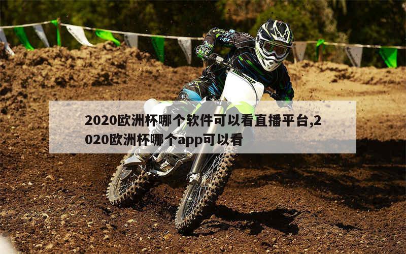 2020欧洲杯哪个软件可以看直播平台,2020欧洲杯哪个app可以看