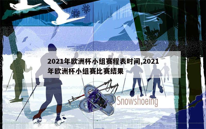 2021年欧洲杯小组赛程表时间,2021年欧洲杯小组赛比赛结果