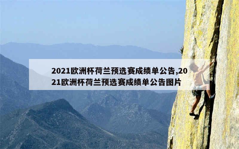 2021欧洲杯荷兰预选赛成绩单公告,2021欧洲杯荷兰预选赛成绩单公告图片