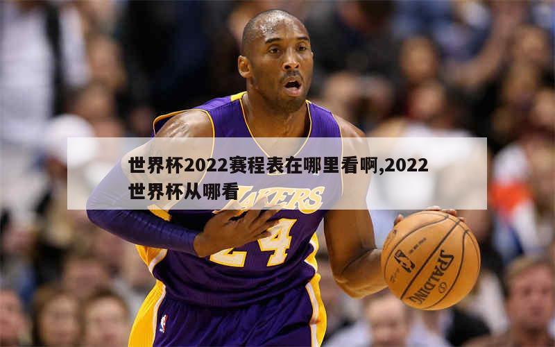 世界杯2022赛程表在哪里看啊,2022世界杯从哪看