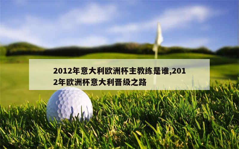 2012年意大利欧洲杯主教练是谁,2012年欧洲杯意大利晋级之路