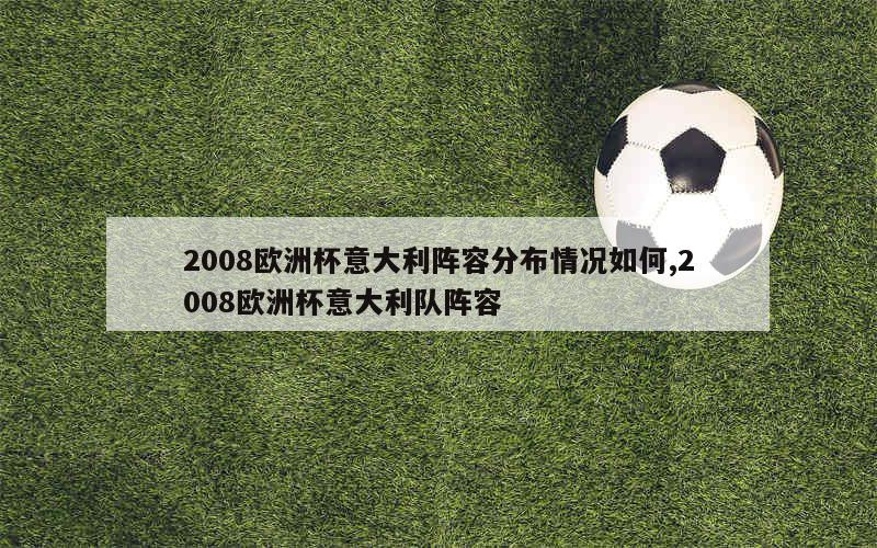 2008欧洲杯意大利阵容分布情况如何,2008欧洲杯意大利队阵容