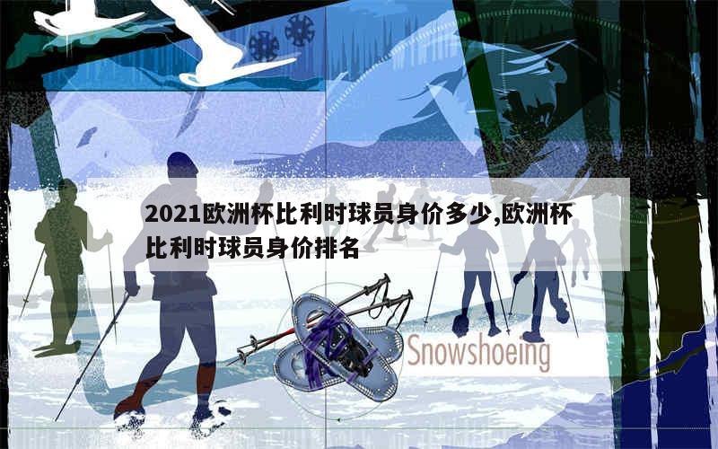 2021欧洲杯比利时球员身价多少,欧洲杯比利时球员身价排名