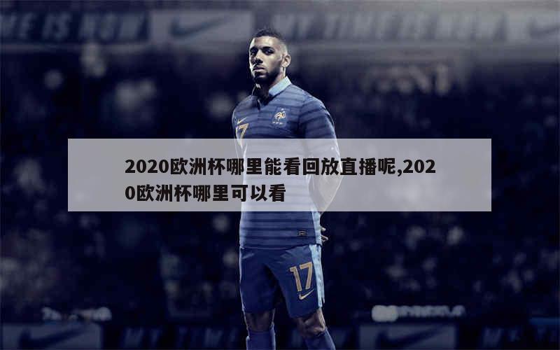 2020欧洲杯哪里能看回放直播呢,2020欧洲杯哪里可以看