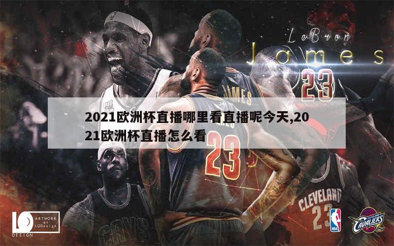 2021欧洲杯直播哪里看直播呢今天,2021欧洲杯直播怎么看