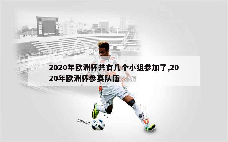 2020年欧洲杯共有几个小组参加了,2020年欧洲杯参赛队伍