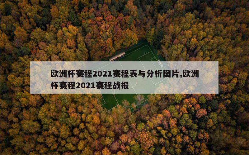 欧洲杯赛程2021赛程表与分析图片,欧洲杯赛程2021赛程战报