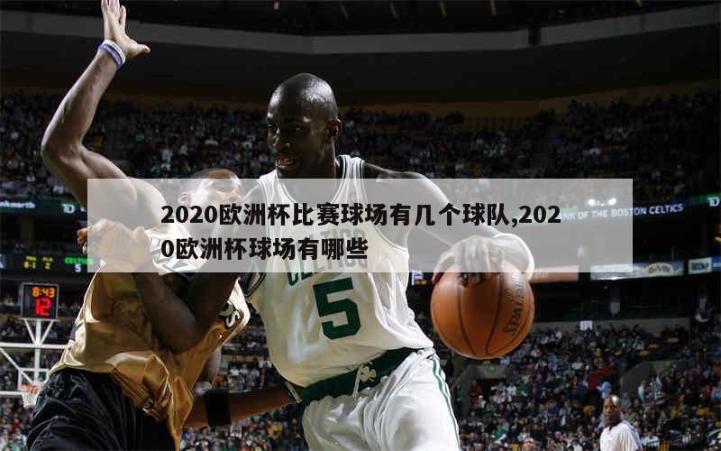 2020欧洲杯比赛球场有几个球队,2020欧洲杯球场有哪些