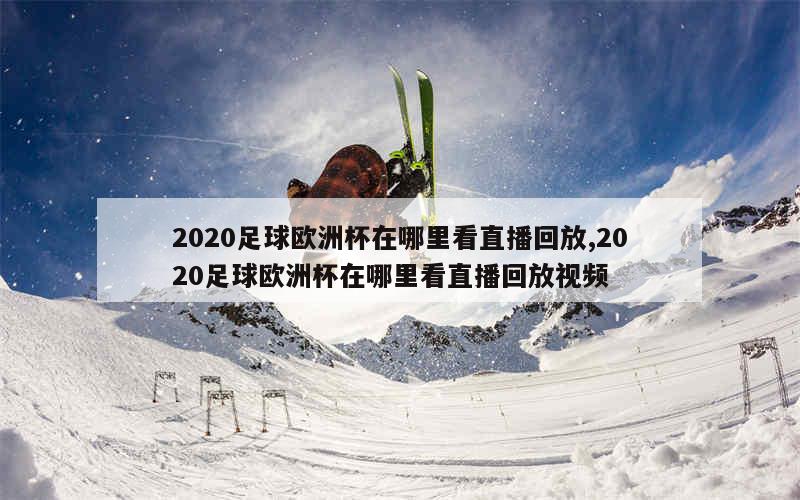 2020足球欧洲杯在哪里看直播回放,2020足球欧洲杯在哪里看直播回放视频