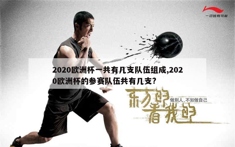 2020欧洲杯一共有几支队伍组成,2020欧洲杯的参赛队伍共有几支?