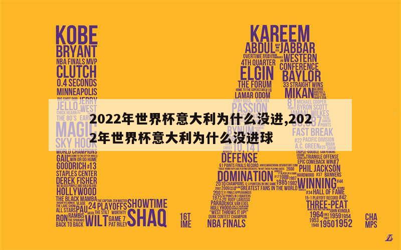 2022年世界杯意大利为什么没进,2022年世界杯意大利为什么没进球