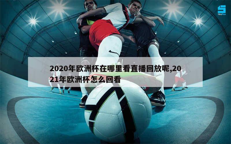 2020年欧洲杯在哪里看直播回放呢,2021年欧洲杯怎么回看