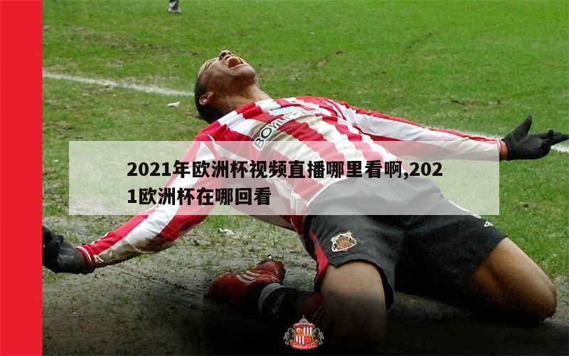 2021年欧洲杯视频直播哪里看啊,2021欧洲杯在哪回看