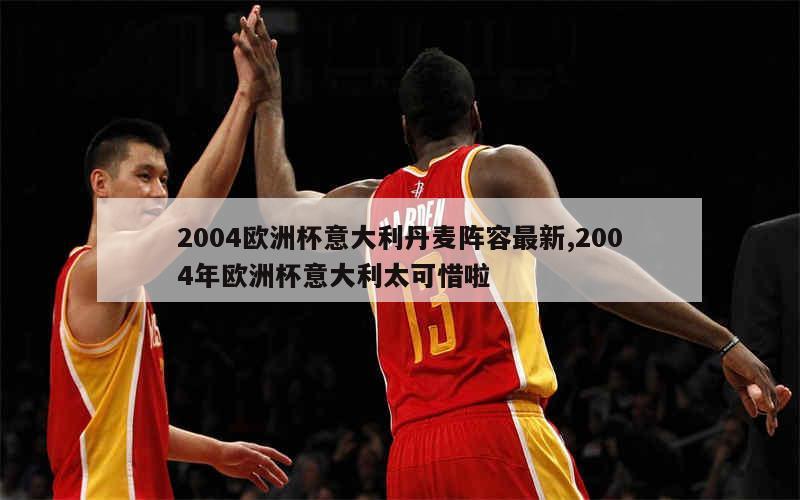 2004欧洲杯意大利丹麦阵容最新,2004年欧洲杯意大利太可惜啦