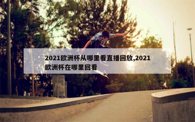 2021欧洲杯从哪里看直播回放,2021欧洲杯在哪里回看