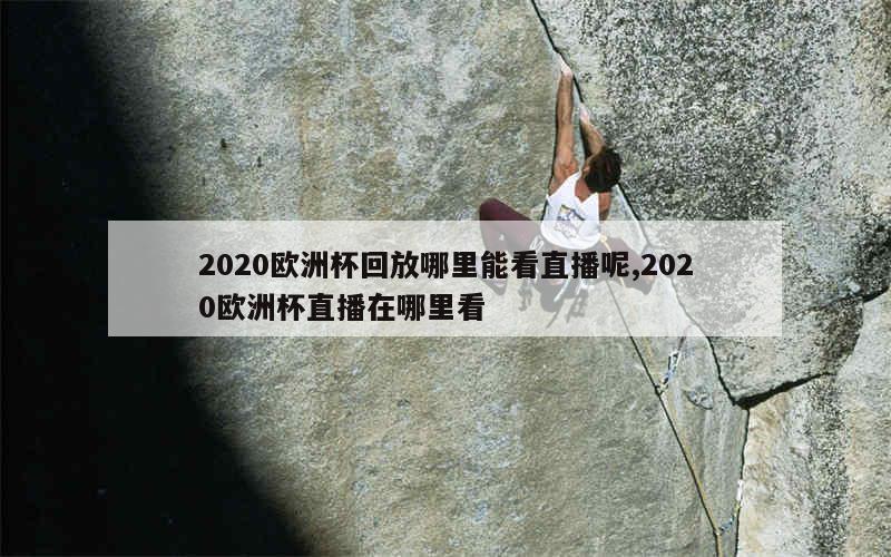 2020欧洲杯回放哪里能看直播呢,2020欧洲杯直播在哪里看