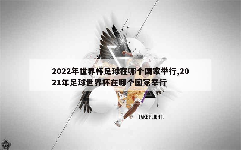 2022年世界杯足球在哪个国家举行,2021年足球世界杯在哪个国家举行