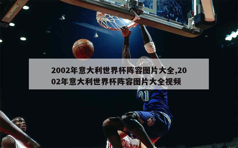 2002年意大利世界杯阵容图片大全,2002年意大利世界杯阵容图片大全视频