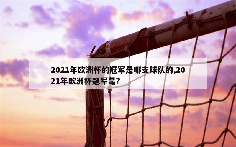 2021年欧洲杯的冠军是哪支球队的,2021年欧洲杯冠军是?