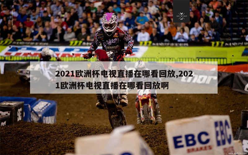 2021欧洲杯电视直播在哪看回放,2021欧洲杯电视直播在哪看回放啊