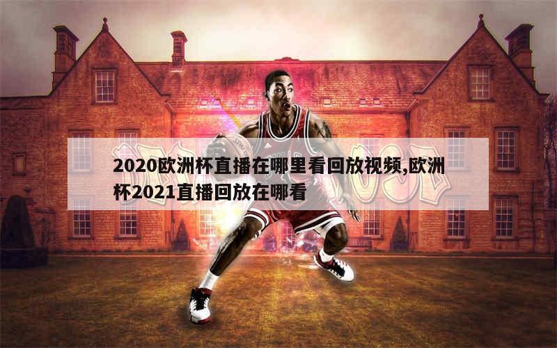 2020欧洲杯直播在哪里看回放视频,欧洲杯2021直播回放在哪看