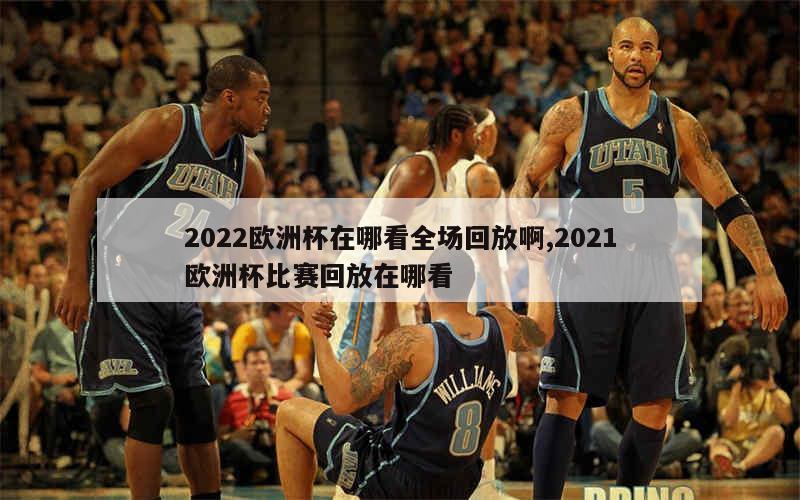 2022欧洲杯在哪看全场回放啊,2021欧洲杯比赛回放在哪看