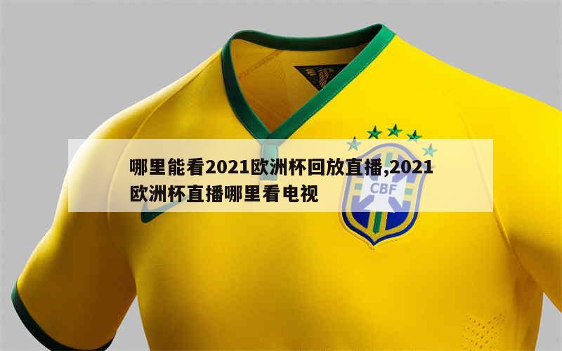 哪里能看2021欧洲杯回放直播,2021欧洲杯直播哪里看电视