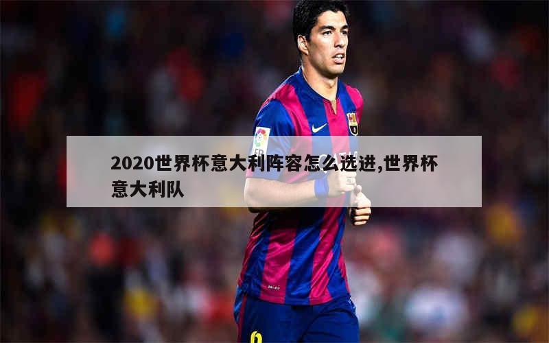 2020世界杯意大利阵容怎么选进,世界杯意大利队