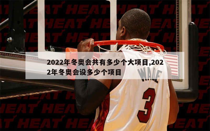 2022年冬奥会共有多少个大项目,2022年冬奥会设多少个项目