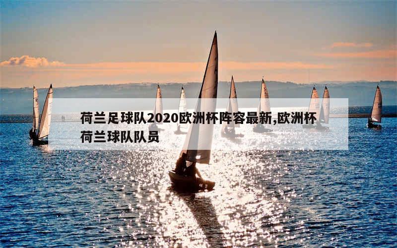 荷兰足球队2020欧洲杯阵容最新,欧洲杯荷兰球队队员