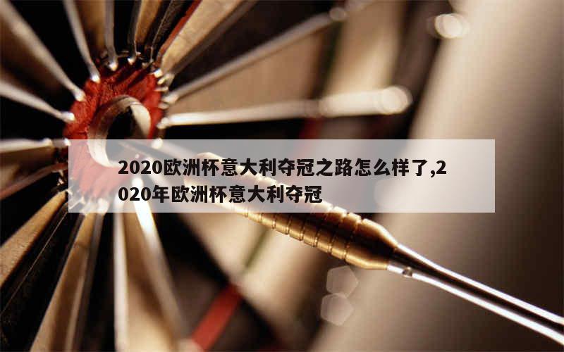 2020欧洲杯意大利夺冠之路怎么样了,2020年欧洲杯意大利夺冠