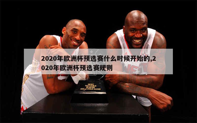 2020年欧洲杯预选赛什么时候开始的,2020年欧洲杯预选赛规则