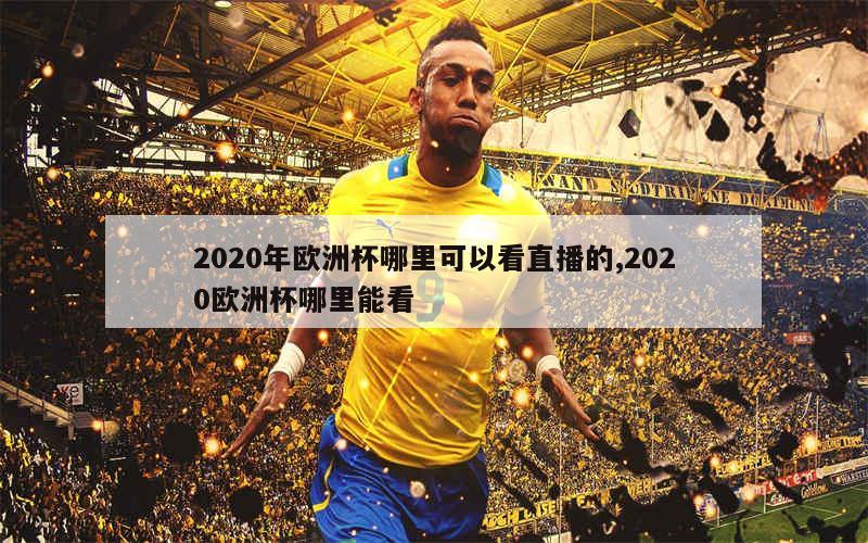 2020年欧洲杯哪里可以看直播的,2020欧洲杯哪里能看