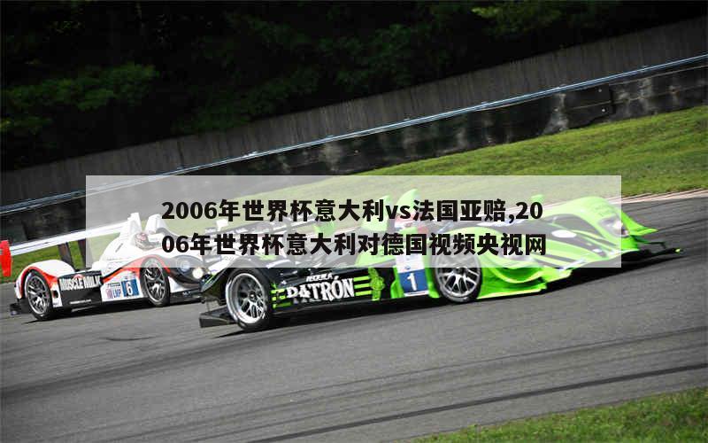 2006年世界杯意大利vs法国亚赔,2006年世界杯意大利对德国视频央视网