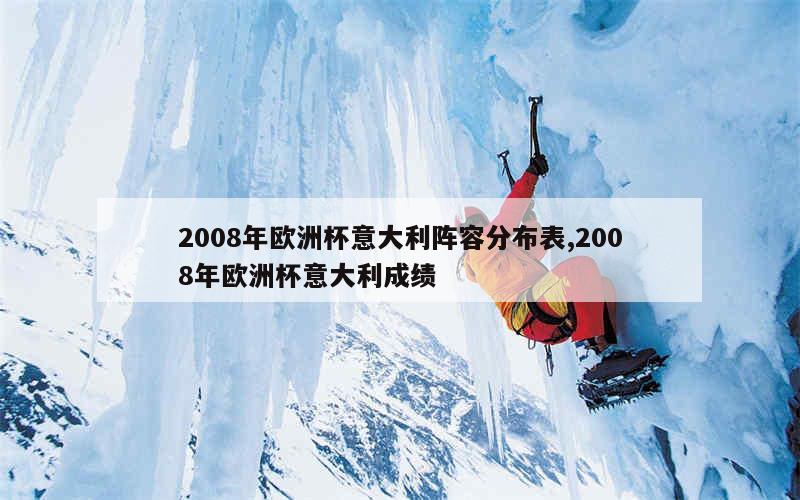 2008年欧洲杯意大利阵容分布表,2008年欧洲杯意大利成绩