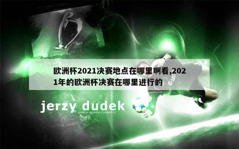 欧洲杯2021决赛地点在哪里啊看,2021年的欧洲杯决赛在哪里进行的