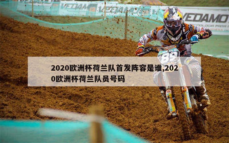 2020欧洲杯荷兰队首发阵容是谁,2020欧洲杯荷兰队员号码