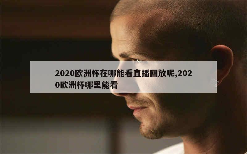 2020欧洲杯在哪能看直播回放呢,2020欧洲杯哪里能看