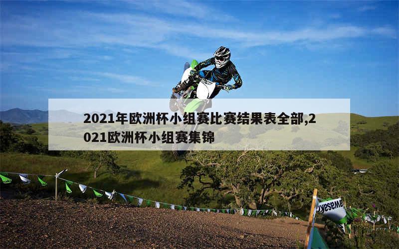 2021年欧洲杯小组赛比赛结果表全部,2021欧洲杯小组赛集锦