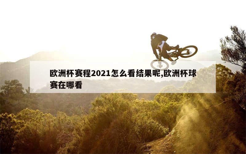 欧洲杯赛程2021怎么看结果呢,欧洲杯球赛在哪看