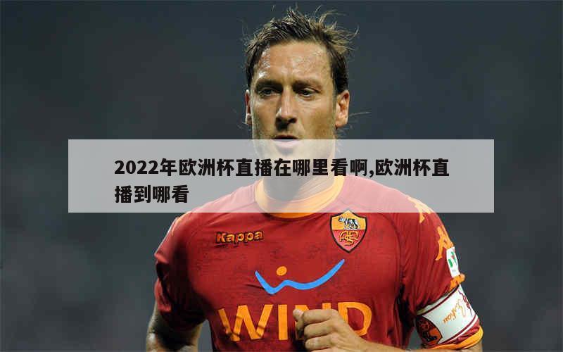 2022年欧洲杯直播在哪里看啊,欧洲杯直播到哪看