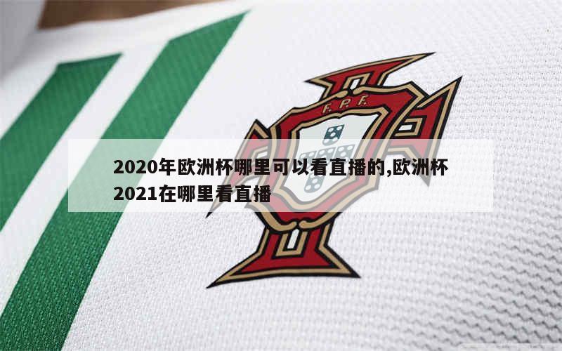 2020年欧洲杯哪里可以看直播的,欧洲杯2021在哪里看直播