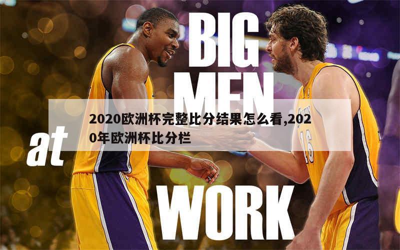 2020欧洲杯完整比分结果怎么看,2020年欧洲杯比分栏