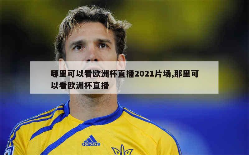 哪里可以看欧洲杯直播2021片场,那里可以看欧洲杯直播