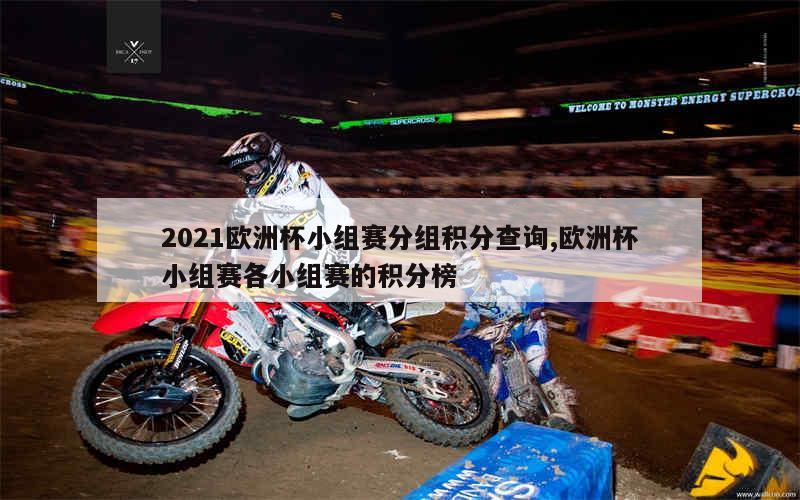 2021欧洲杯小组赛分组积分查询,欧洲杯小组赛各小组赛的积分榜